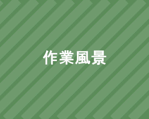 作業の様子