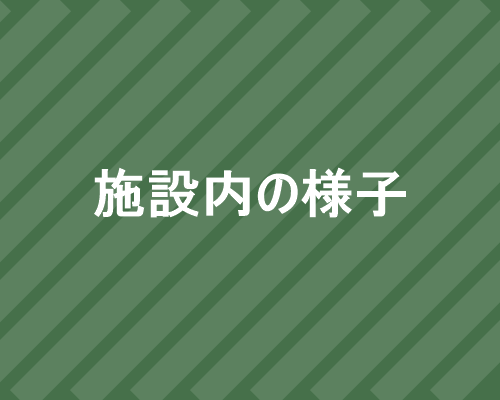 施設内の観葉植物